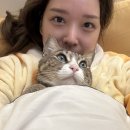 신촌로 234 새마을금고 앞 | 내돈내산 서울 속눈썹 연장 애니메 래쉬 후기