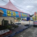 선아 농장 이미지