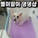 별이알이 댕댕샵 이미지