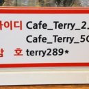 태리289