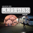 캠핑장슈퍼 | 충주 목계솔밭캠핑장 명당 대형 A30 사이트 후기
