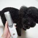 뽀송하랑 이미지