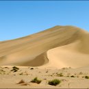 기계사막 이미지