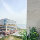 하운드호텔 거북섬 : 스파 스위트 내돈내산 real 후기