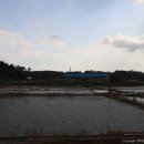 대오염전 네이버블로그