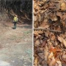 흥일축산 이미지