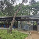 진미숯불구이 이미지