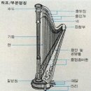 하프 Daum카페