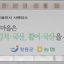싱싱회마을 Daum카페