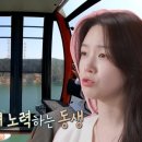 메이트카