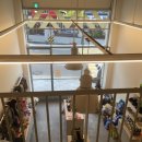 이브애견샵 이미지