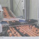 민중농장 이미지