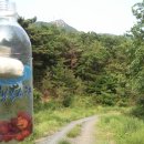 계룡산등산로(거제면) 이미지