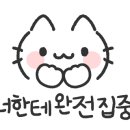 에어로케이항공비