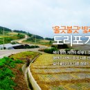 도리포 이미지