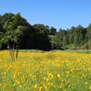 악양생태공원 이미지