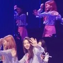 버고