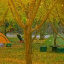 평안한치길 이미지