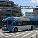 세익여객자동차 이미지