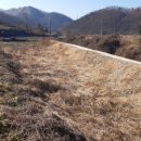 부등 농장 이미지