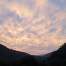 노을이야기 - 34087 | 노을이야기