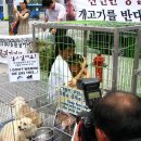 동보농장 이미지