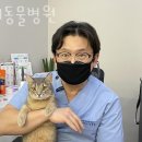 롯데동물병원 이미지