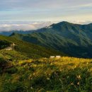 여기, 지리산 이미지