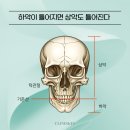 강남얼굴비대칭 전문교육 클리니스킨 두골비 임상 이미지