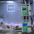 필종합동물병원 이미지