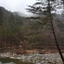 노송목장 이미지