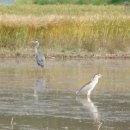 김순재농장 이미지