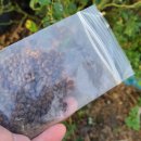 지리산 마리공방 이미지