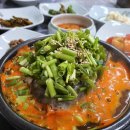 동해안 동태찜 이미지