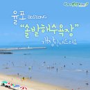 솔밭수상레저