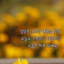 썬다방 Daum카페