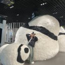 멍스토리 | 에버랜드 판다월드 어린이날 방문 후기ㅣ아이바오스토리 포토존 총정리
