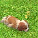 시월 호두 이미지