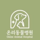 온리동물병원 이미지