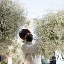 방배로19길 63 이미지