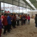 산마을 양계장 이미지