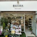 플로드로브
