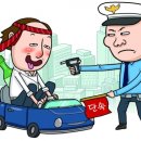 골드 행정사 이미지