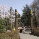 물향기수목원 Daum카페