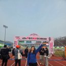 두 번째 벚꽃 | 합천벚꽃마라톤 완주후기_두번째 하프마라톤