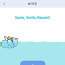 스마일(코인) | 수친들 주목, 스마일패스 추천코드, 사용 후기