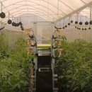 대신농장 이미지