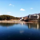 고모리691 이미지