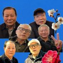 봄이 Daum카페