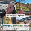 꼬마코끼리가는길 | 과천 서울대공원 동물원 아이랑 가볼만한곳 , 코끼리열차 스카이리프트